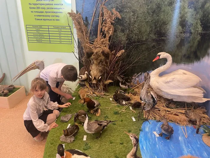 Обзорные экскурсии по музею (1)